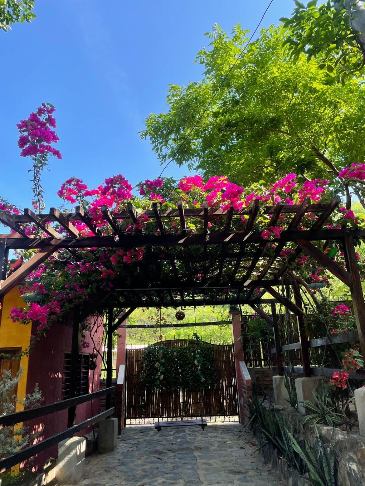 Hostal La Casa De Felipe Таганга Экстерьер фото
